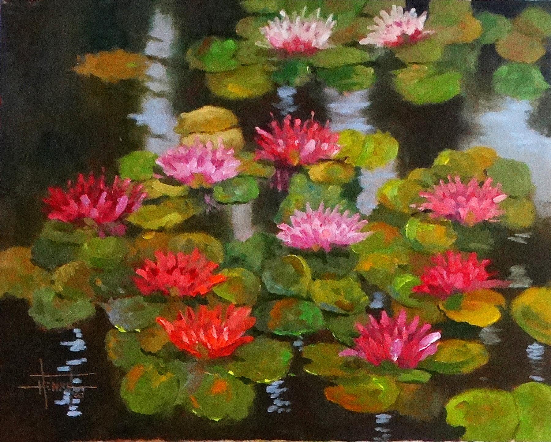 Ninféias