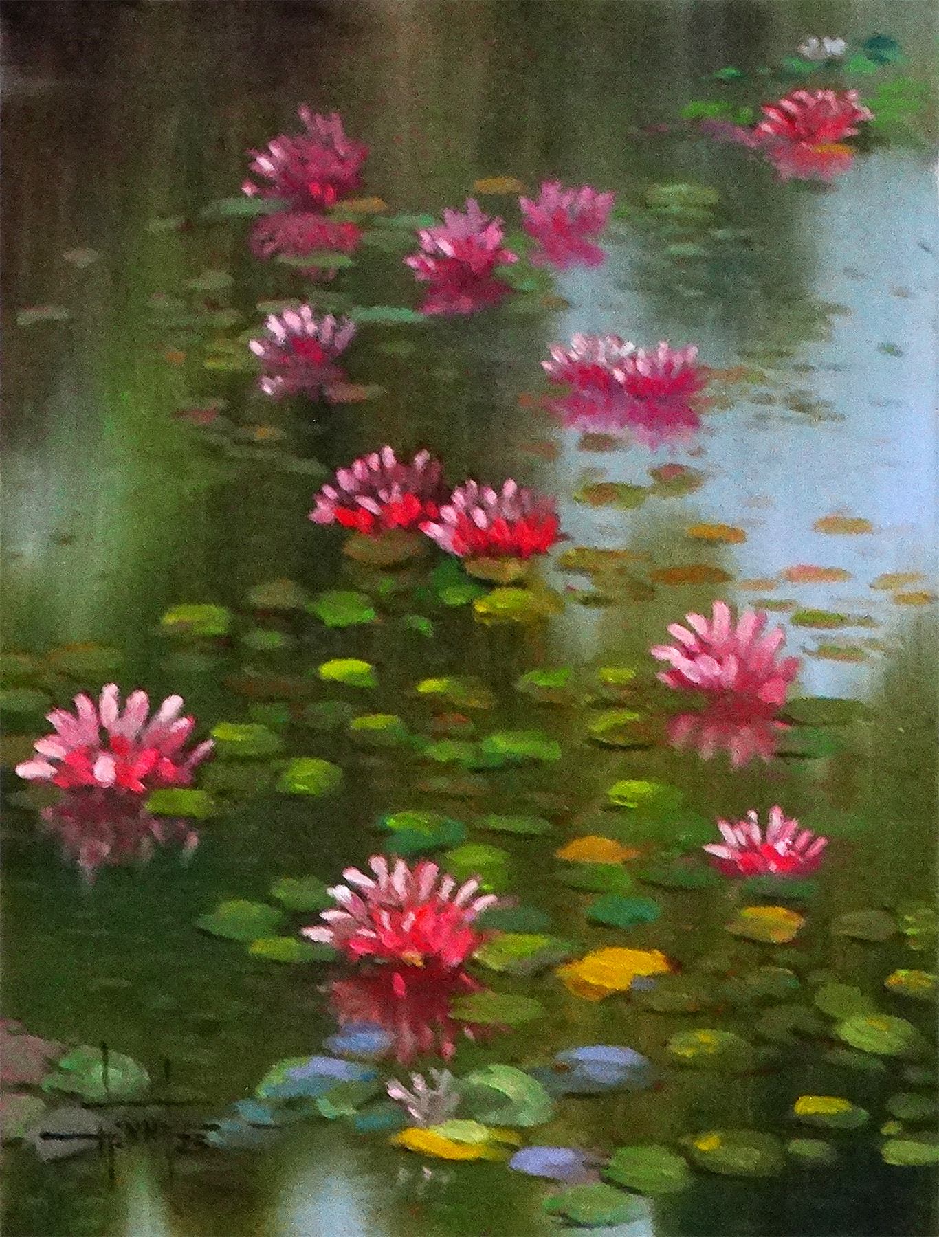 Ninféias