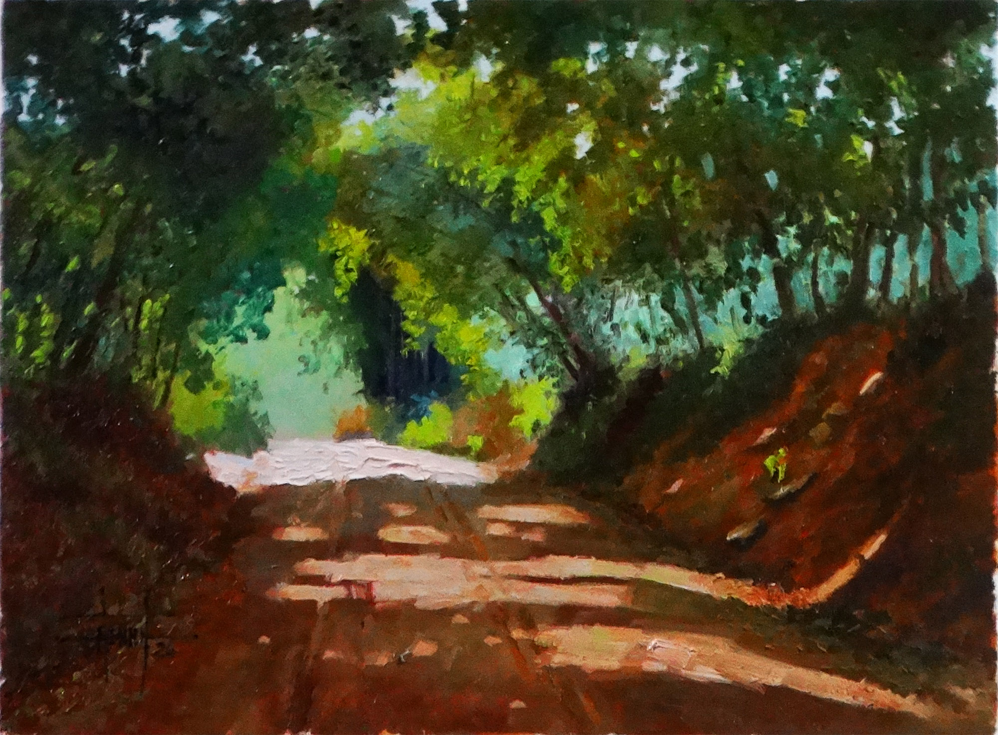 Rua com Sombra